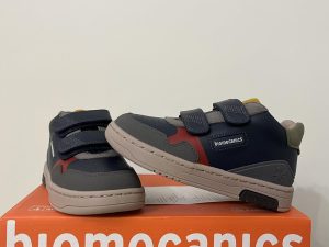 Biomecanics