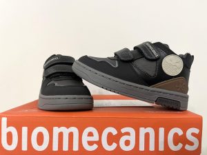 Biomecanics